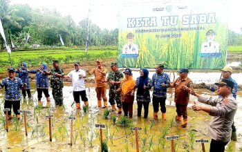 Program Peningkatan Produktivitas Pertanian