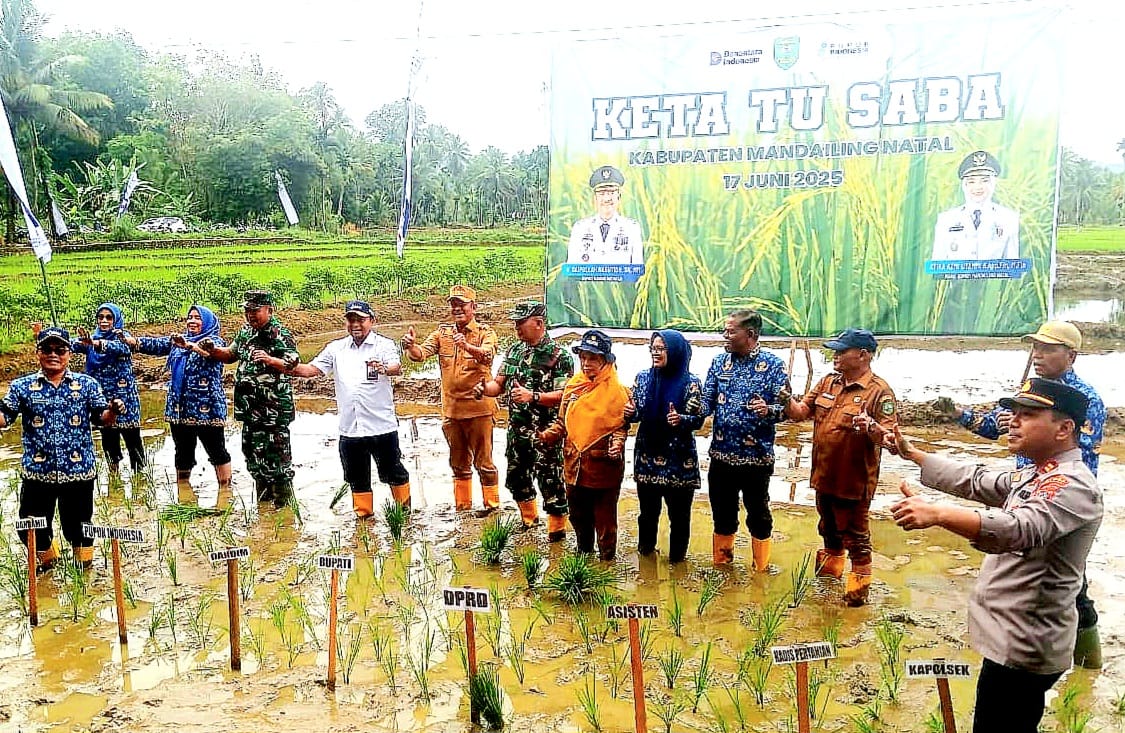 Program Peningkatan Produktivitas Pertanian