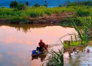 Rodang Tinapor Desa Bonandolok Madina Berpotensi Jadi Destinasi Wisata Sampan dan Pancing