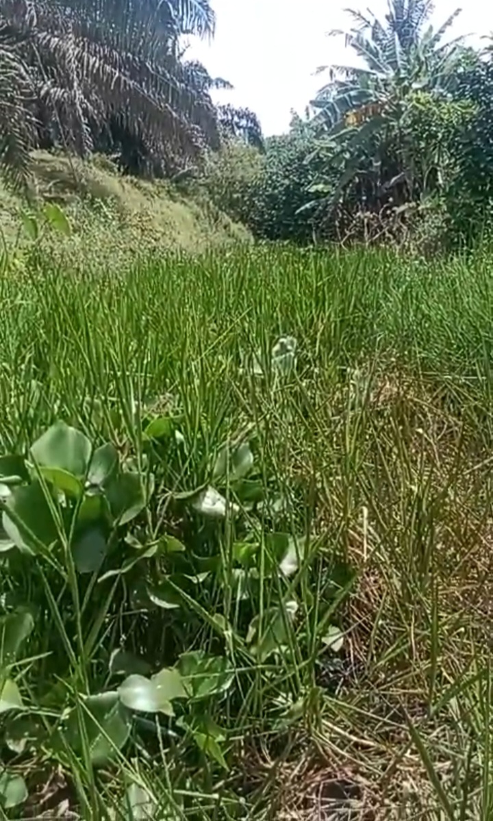 Dana CSR Diduga Digelapkan