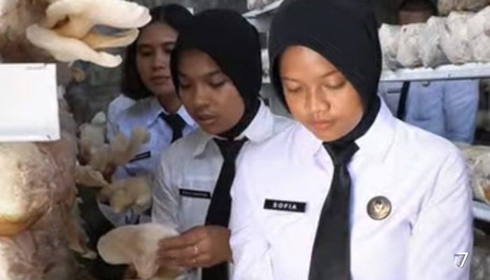 Warga Binaan Rutan Kelas I Medan Panen Jamur Tiram Perdana