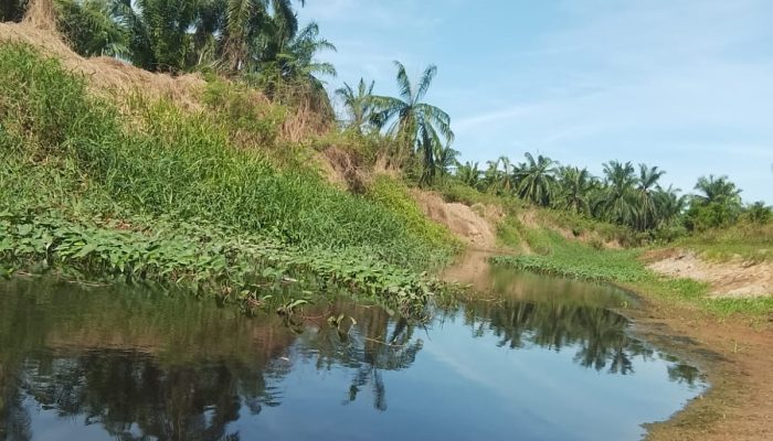Diduga Tercemar Limbah PKS PT. ATM, Air Sungai Labuhan Berubah Warna dan Timbulkan Bau Menyengat