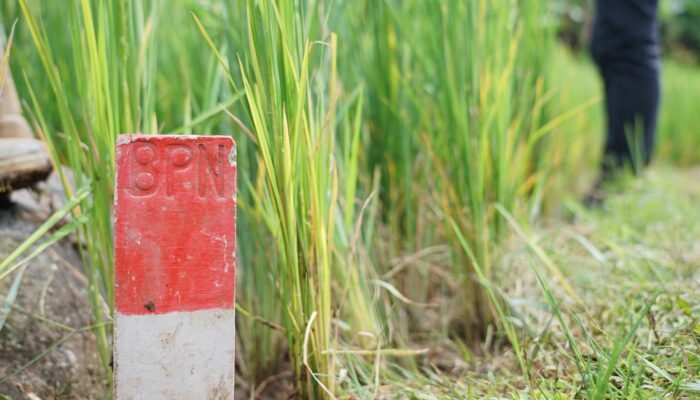Kurangi Masalah Batas Tanah, Menteri Nusron Imbau Masyarakat Pasang Patok Permanen