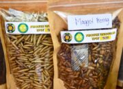 TPST USU Mengolah Sampah Jadi Produk Bernilai Ekonomis