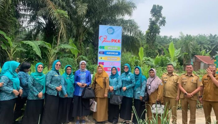 TP PKK Kota Binjai Terima Kunjungan Tim Monitoring Provsu dalam Lomba AKU HATINYA PKK