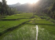 Pembangunan Harus Berkeadilan, Menteri Nusron: Reforma Agraria Jawab Ketimpangan