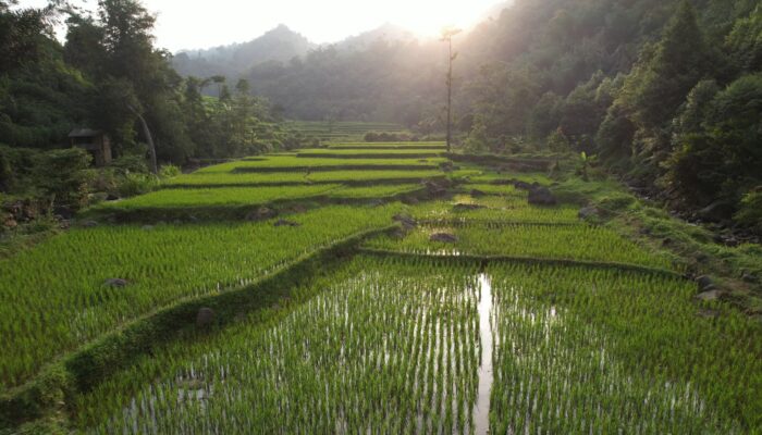 Pembangunan Harus Berkeadilan, Menteri Nusron: Reforma Agraria Jawab Ketimpangan