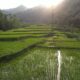 Reforma Agraria Jawab Ketimpangan