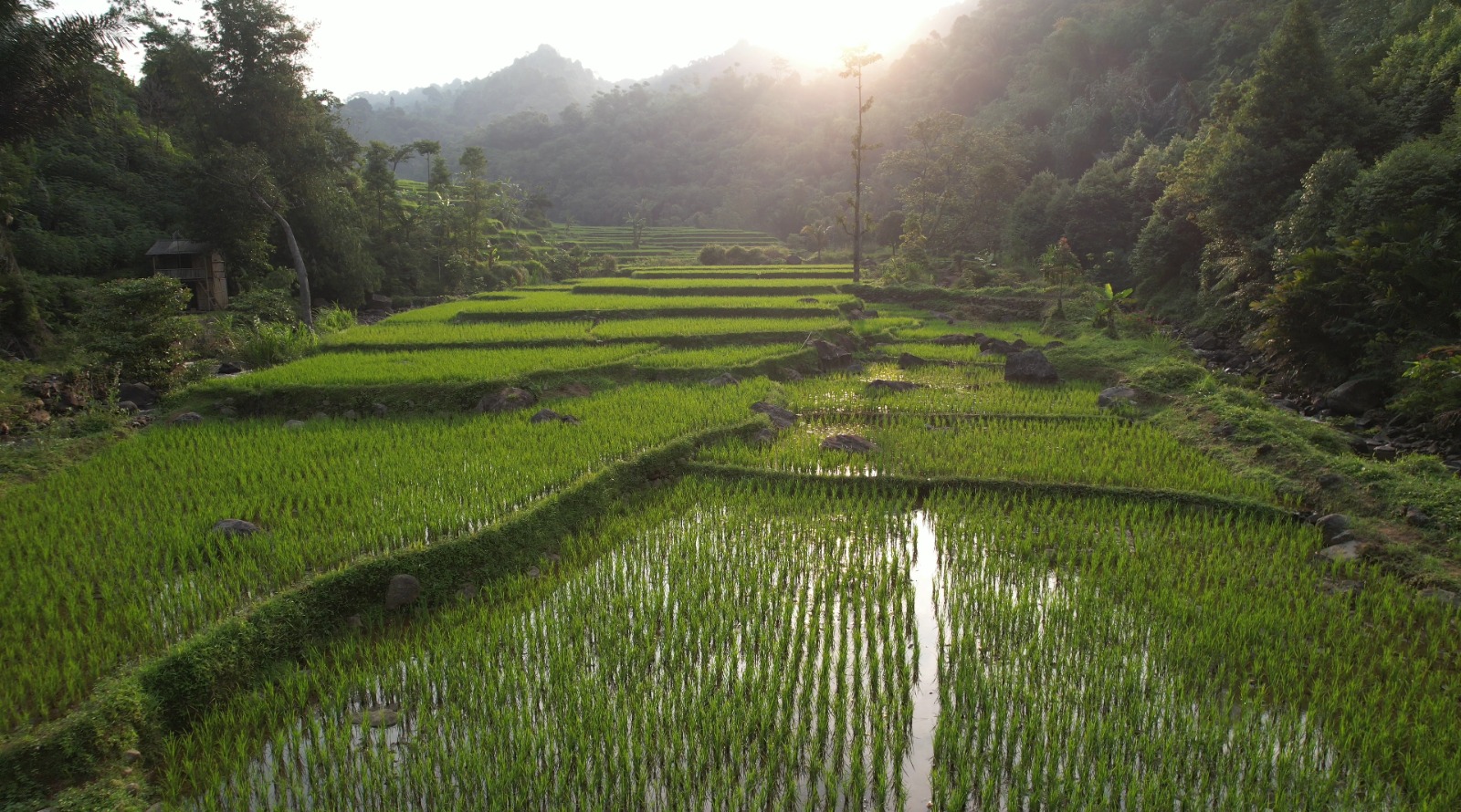 Reforma Agraria Jawab Ketimpangan