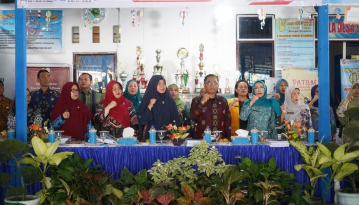 Wujudkan Pola Asuh Anak dan Remaja yang Berkualitas, Desa Sekip Masuk Enam Besar PKK Tingkat Sumut Kategori PAAR