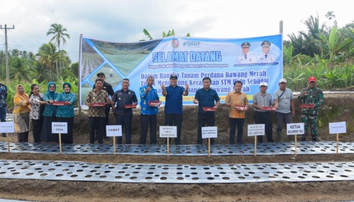 STM Hulu Diproyeksikan Jadi Sentra Bawang Merah, Deli Serdang Mantapkan Langkah Kedaulatan Pangan