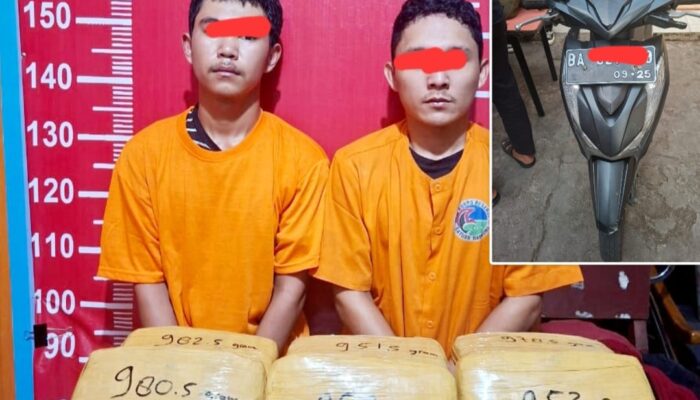 Dua Pemuda Asal Jambi Dibekuk Satres Narkoba Polres Madina, Bawa 14,4 Kg Ganja Siap Edar
