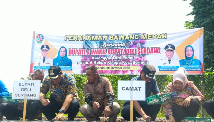 Potensial Jadi Kabupaten Terdepan, Pembangunan Tahun 2026 Dilakukan Lebih Awal