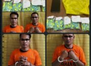 Ada Order Barang, Bos!