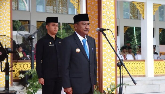 Pemko Binjai Peringati Hari Pahlawan dengan Semangat Baru: Dari Ziarah Hingga Apresiasi Pahlawan Masa Kini