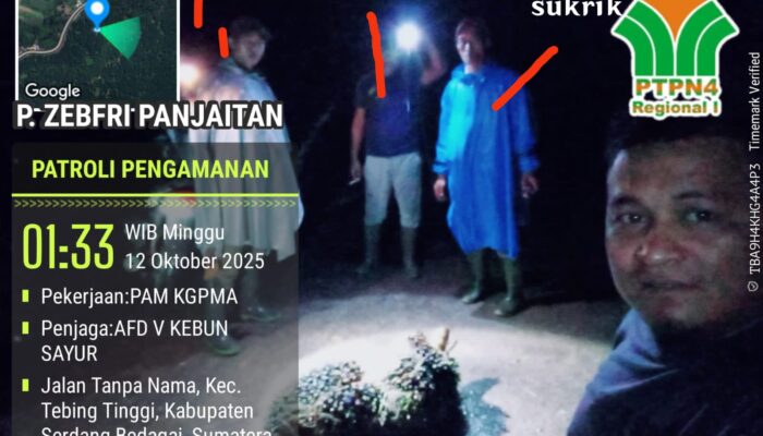 Dirut PTPN 4 Diminta Evaluasi Manajemen Gunung Pamela, Whistleblower Kasus Pencurian TBS Justru Di-PHK