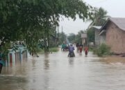 Parit PTPN IV Adolina Meluap, Rumah Warga Dusun I Citaman Jernih Terendam