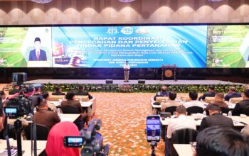 Metamorfosis Mafia Tanah