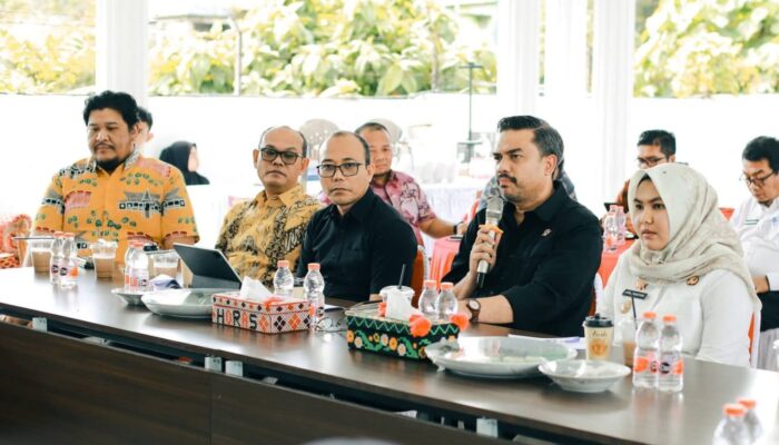 Wabup Madina Minta Menteri UMKM Fasilitasi Pelatihan Pelaku Usaha