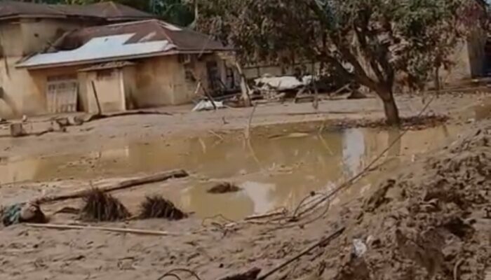 Aliansi Bantu Aceh dari Serdang Bedagai Tembus Desa Terisolir di Aceh Tamiang