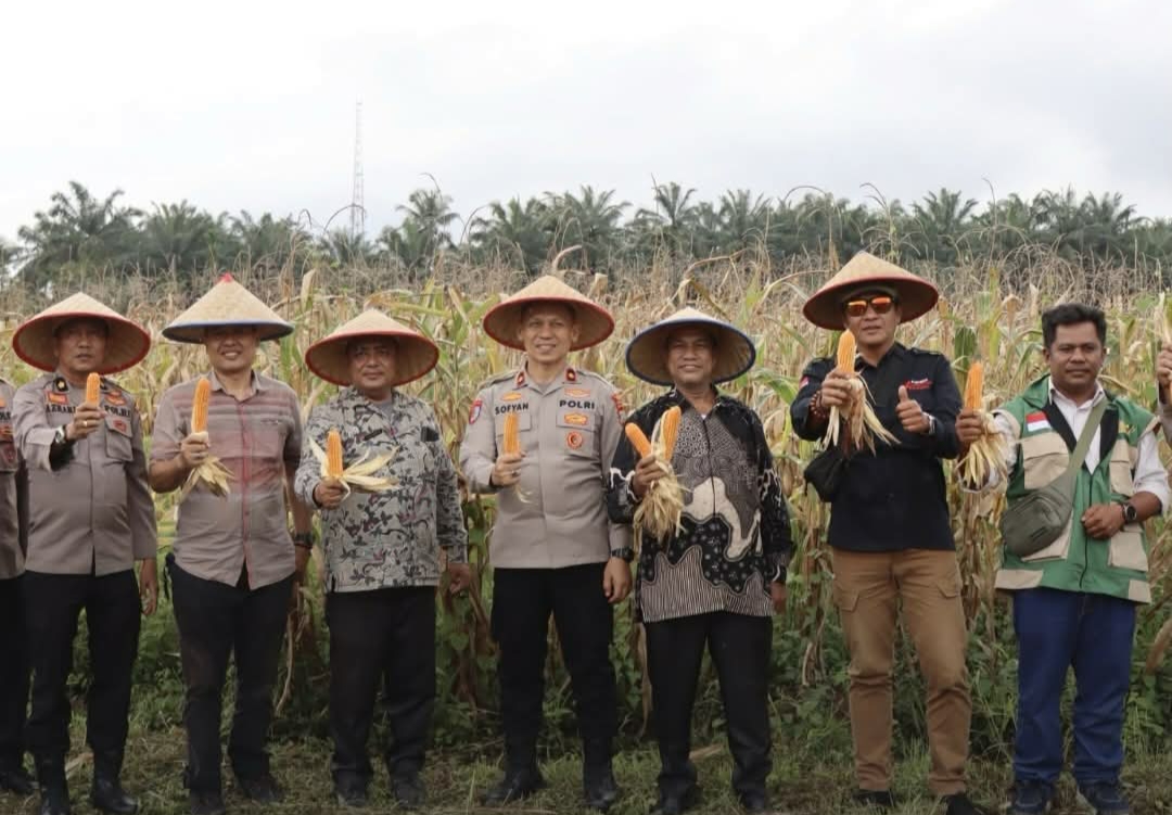 Panen Jagung Serentak Nasional