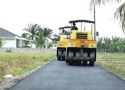 Program Jamu Desa 24