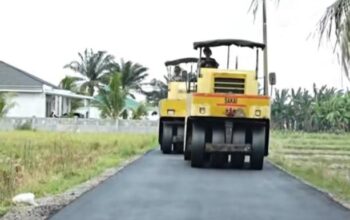 Program Jamu Desa 24