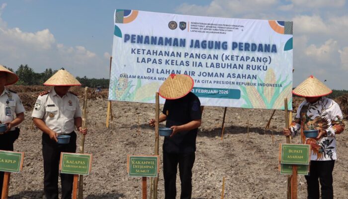 Kanwil Ditjenpas Sumut Tancap Gas Dukung Ketahanan Pangan Nasional, Tanam Jagung Perdana di Lahan Air Joman
