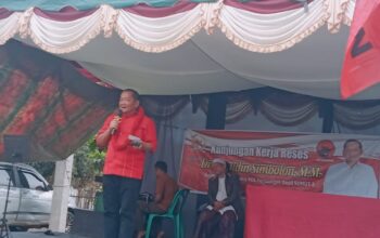 Rapidin Simbolon Reses