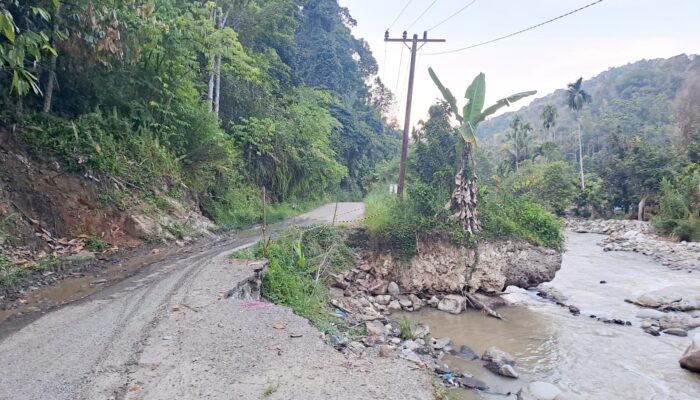 11 Titik Jalan Provinsi Amblas ke Jurang di Kecamatan Ulu Pungkut, Gangguan Serius Bagi Pengendara