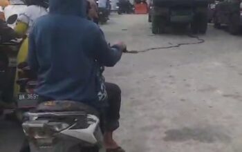 Panik Isu Krisis Energi Global