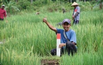 Mudik ke Kampung Halaman