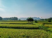 Dukung Swasembada Pangan