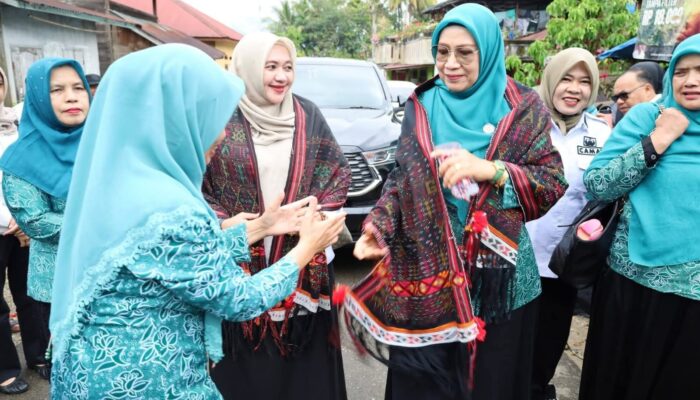 Ketua TP PKK Madina Dorong Kemandirian Ekonomi Desa Binaan dan Pemanfaatan Pekarangan