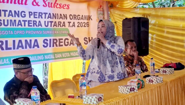 Derliana Siregar Sosialisasikan Ranperda Pertanian Organik di Mandailing Natal, Petani Mulai Didorong Beralih Sistem