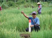 Simak Tips untuk Menjaga Tanah agar Tidak Diserobot Orang Lain