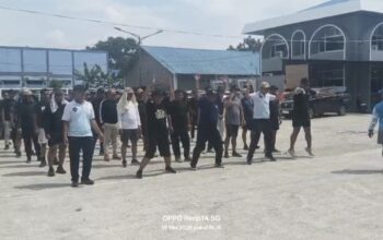 Penyegaran
