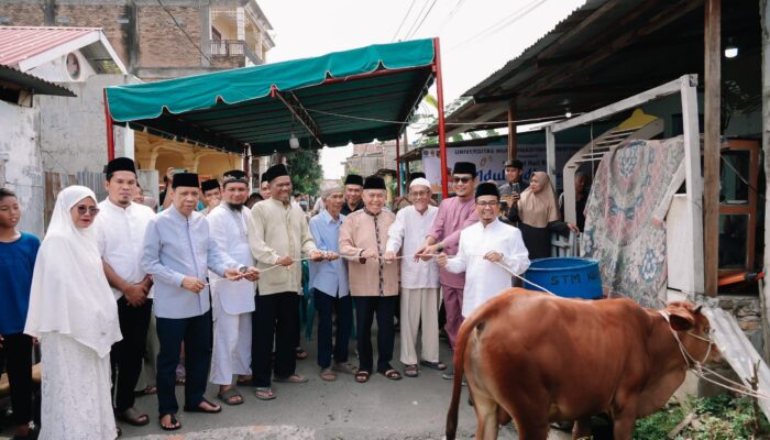 UMSU Potong 66 Hewan Kurban, Ribuan Warga dan Wilayah 3T Ikut Merasakan Manfaat