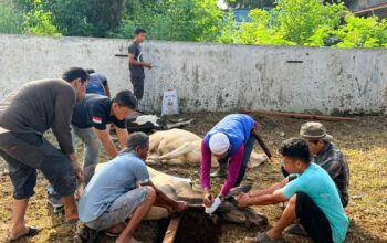Kurban Kanwil BPN Sumut