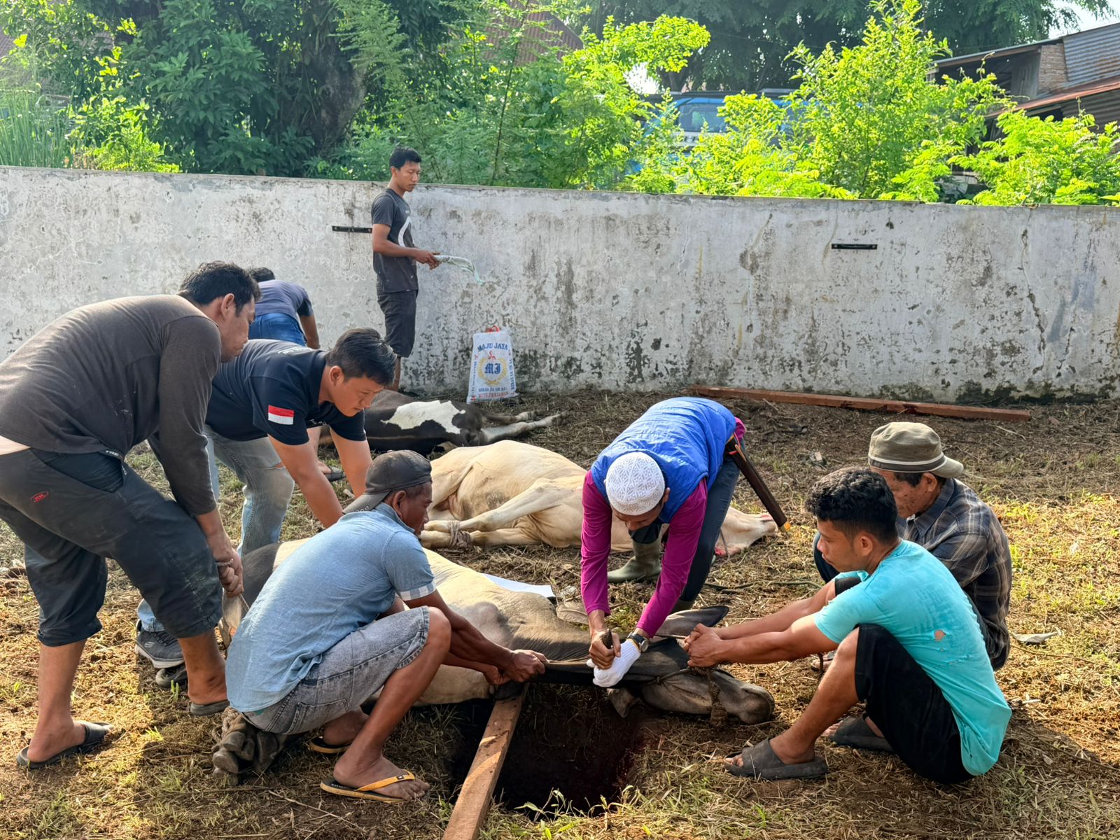 Kurban Kanwil BPN Sumut