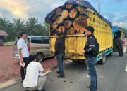 Tim Gabungan TNI