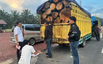 Tim Gabungan TNI