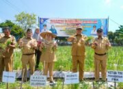 Panen Bawang Merah di Beringin, Pemkab Deli Serdang Perkuat Jaminan Pasar bagi Petani