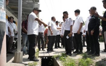 Bupati DS