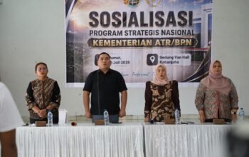 Sosialisasi PSN