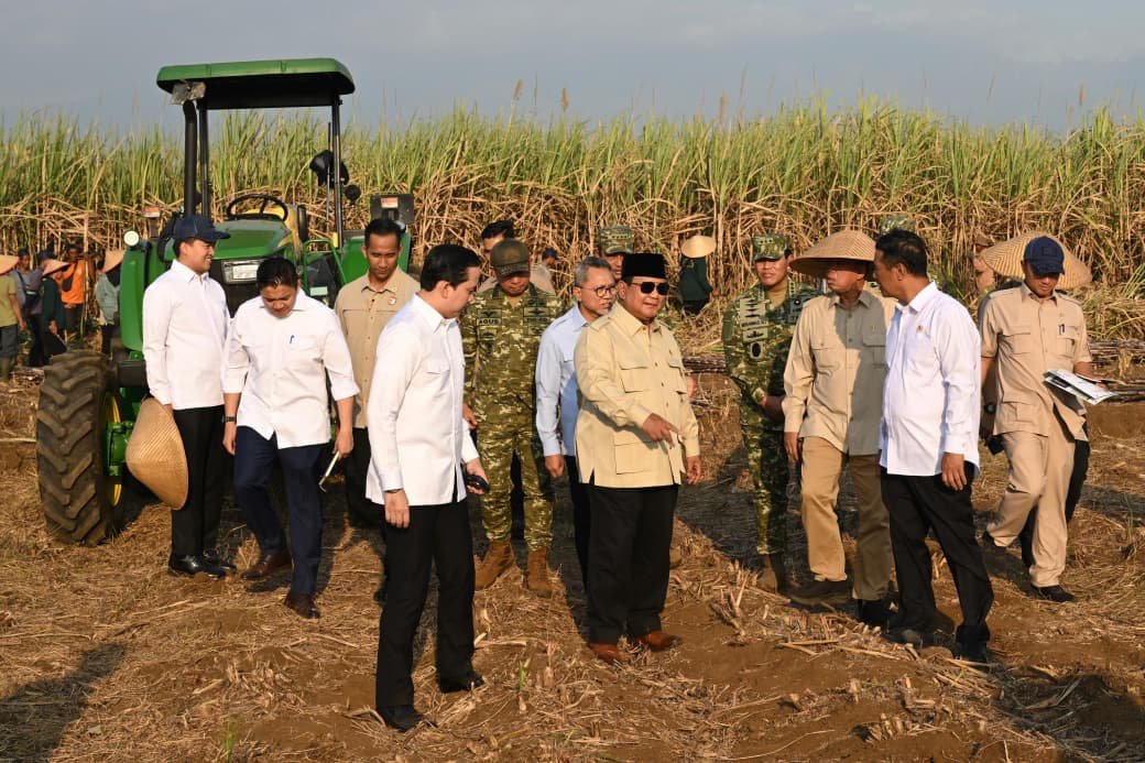 Panen Raya