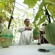 Panen Perdana Melon Hidroponik, UMSU Kembangkan Greenhouse untuk Riset dan Kewirausahaan Mahasiswa