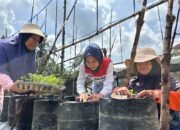 Kisah Chaidir Saleh, Beri “Sentuhan” Manisnya Melon Premium untuk Petani Milenial