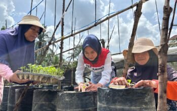 Kisah Chaidir Saleh, Beri “Sentuhan” Manisnya Melon Premium untuk Petani Milenial
