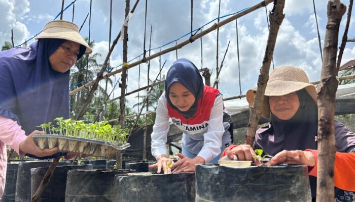 Kisah Chaidir Saleh, Beri “Sentuhan” Manisnya Melon Premium untuk Petani Milenial